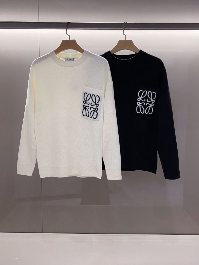 Loewe Sweaters